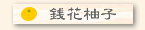 �K�ԗM�q